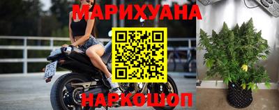 крисы Донской