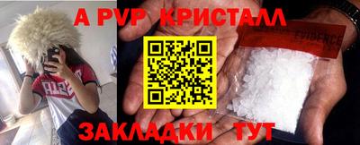 крисы Донской